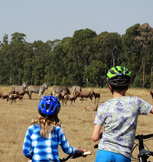 Fiesten tussen de dieren in Mlilwane, eSwatini